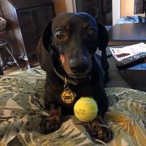 Meet your Posher, Leeann